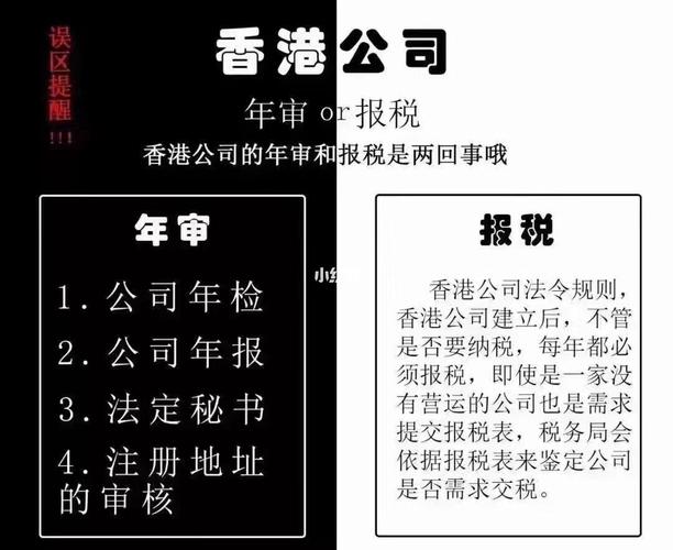 香港公司年报时间怎么算(公司年报怎么查)