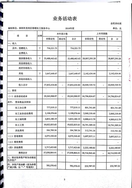 财务审计报告(财务审计报告在哪里查询)